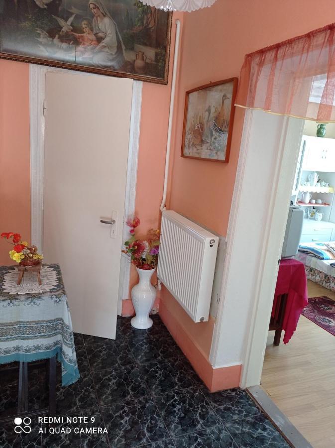 Olga Vendeghaz Apartment Abadszalok ภายนอก รูปภาพ