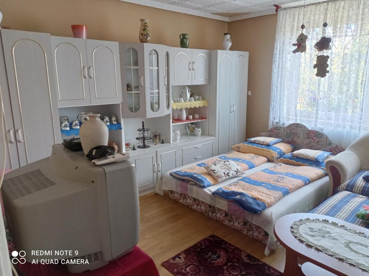 Olga Vendeghaz Apartment Abadszalok ภายนอก รูปภาพ