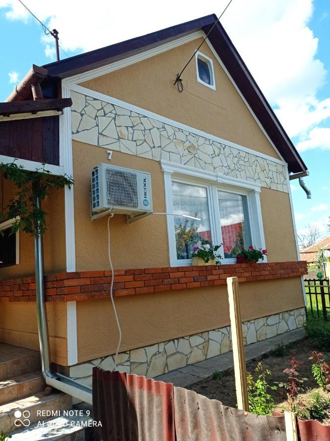 Olga Vendeghaz Apartment Abadszalok ภายนอก รูปภาพ